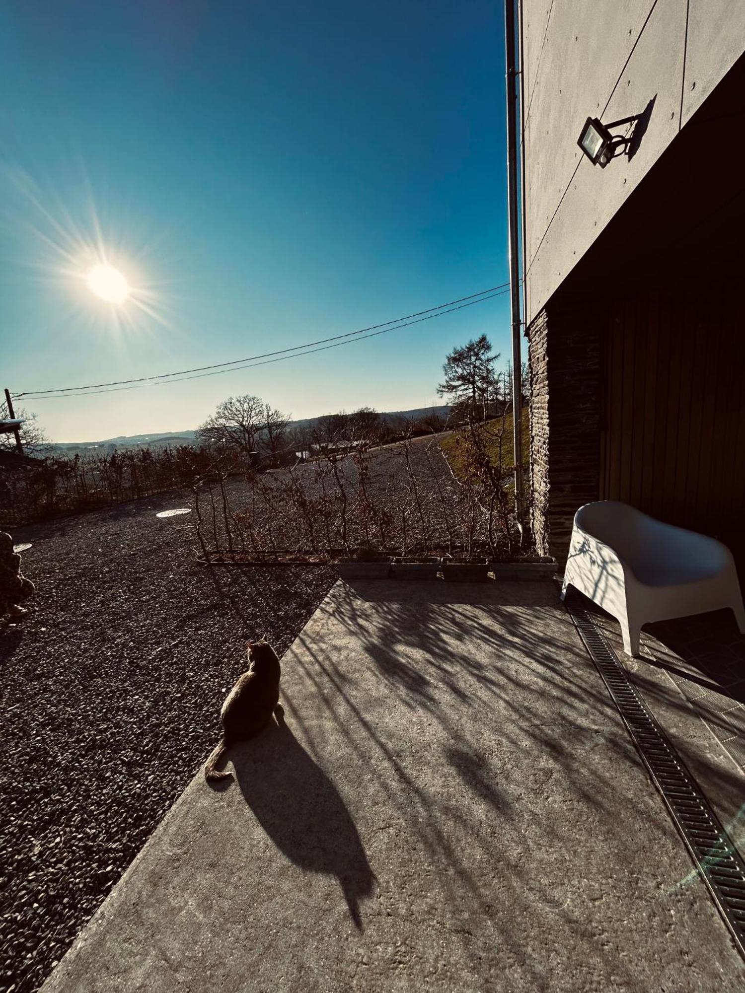 La Planque Du Raton Laveur Aparthotel Lierneux Exterior foto